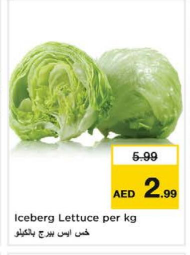 Lettuce available at Nesto Hypermarket in UAE - Al Ain
