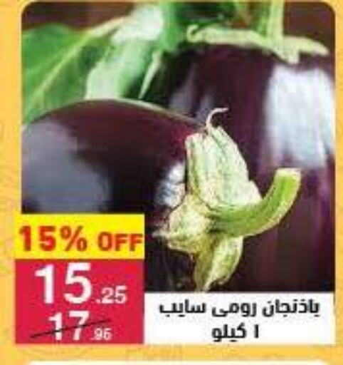 الخضروات الطازجة in محمود الفار, Egypt Offers - Egypt available at محمود الفار in Egypt - القاهرة