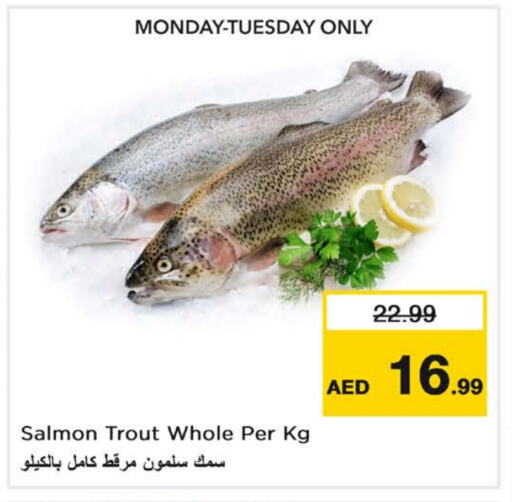 available at نستو هايبرماركت in الإمارات العربية المتحدة , الامارات - ٱلْعَيْن‎