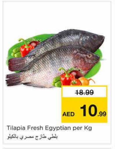 الأسماك الطازجة in نستو هايبرماركت, UAE Offers - الإمارات العربية المتحدة available at نستو هايبرماركت in الإمارات العربية المتحدة , الامارات - الشارقة / عجمان