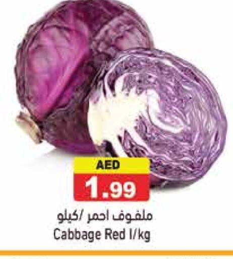 Cabbage available at Aswaq Ramez in UAE - Dubai
