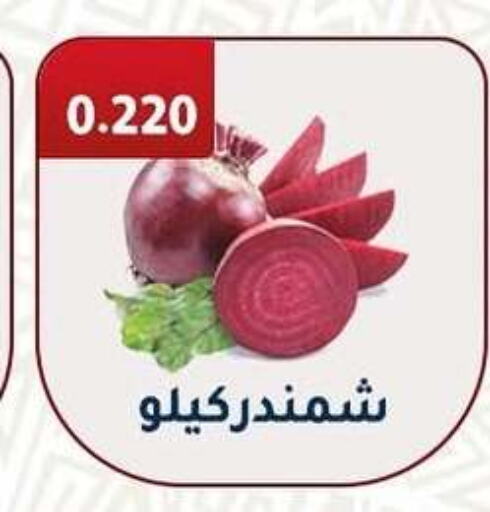 Fresh Vegetables in Al Fahaheel Co - Op Society, Kuwait Offers - Kuwait Beetroot available at Al Fahaheel Co - Op Society in Kuwait - Ahmadi Governorate
