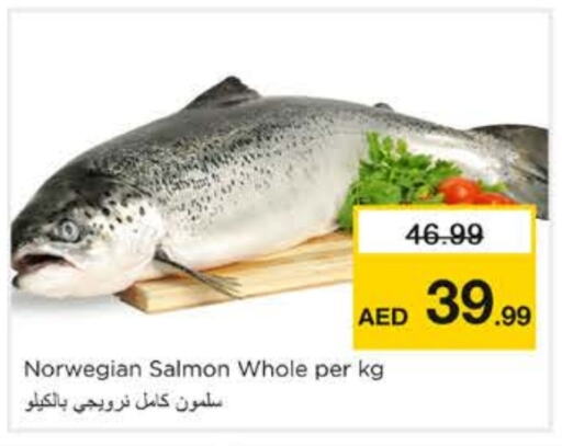 Fresh Fish in Nesto Hypermarket, UAE Offers - United Arab Emirates available at Nesto Hypermarket in UAE - Sharjah / Ajman