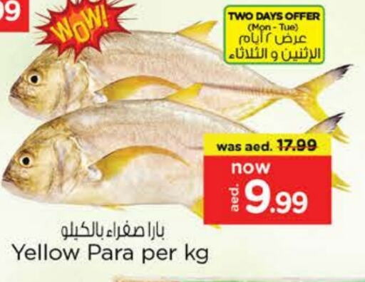 الأسماك الطازجة in نستو هايبرماركت, UAE Offers - الإمارات العربية المتحدة available at نستو هايبرماركت in الإمارات العربية المتحدة , الامارات - الشارقة / عجمان