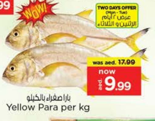 Fresh Fish in Nesto Hypermarket, UAE Offers - United Arab Emirates available at Nesto Hypermarket in UAE - Sharjah / Ajman
