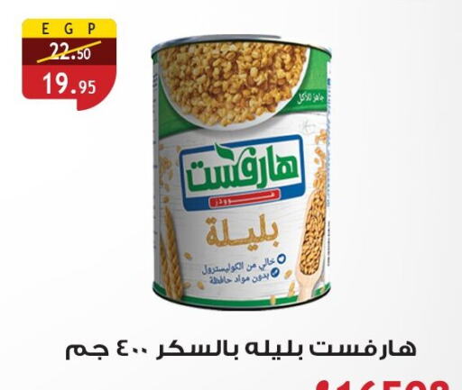 Canned & Packeted in Al Rayah Market , Egypt Offers - Egypt available at Al Rayah Market in Egypt - Cairo