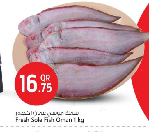 available at Safari Hypermarket in Qatar - Doha