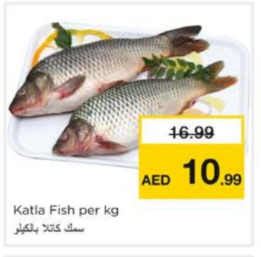 available at نستو هايبرماركت in الإمارات العربية المتحدة , الامارات - الشارقة / عجمان