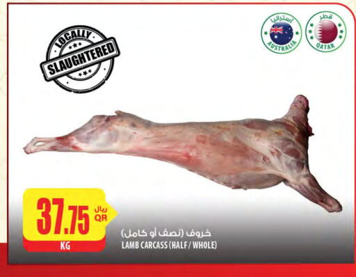 لحم الضأن / الغنم available at شركة الميرة للمواد الاستهلاكية in قطر - الضعاين