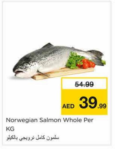 الأسماك الطازجة in نستو هايبرماركت, UAE Offers - الإمارات العربية المتحدة available at نستو هايبرماركت in الإمارات العربية المتحدة , الامارات - الشارقة / عجمان