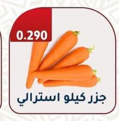 Fresh Vegetables in Al Fahaheel Co - Op Society, Kuwait Offers - Kuwait Carrot available at Al Fahaheel Co - Op Society in Kuwait - Ahmadi Governorate