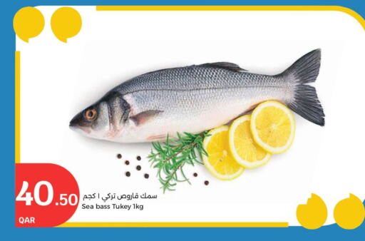 available at City Hypermarket in Qatar - Doha