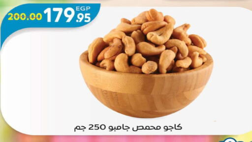 available at Zaher Dairy in Egypt - Cairo