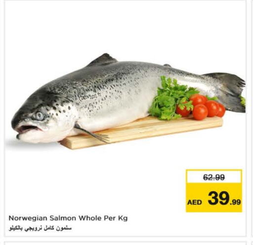 Fresh Fish in Nesto Hypermarket, UAE Offers - United Arab Emirates available at Nesto Hypermarket in UAE - Fujairah