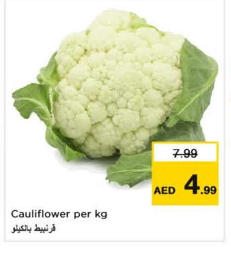 Cauliflower available at Nesto Hypermarket in UAE - Dubai