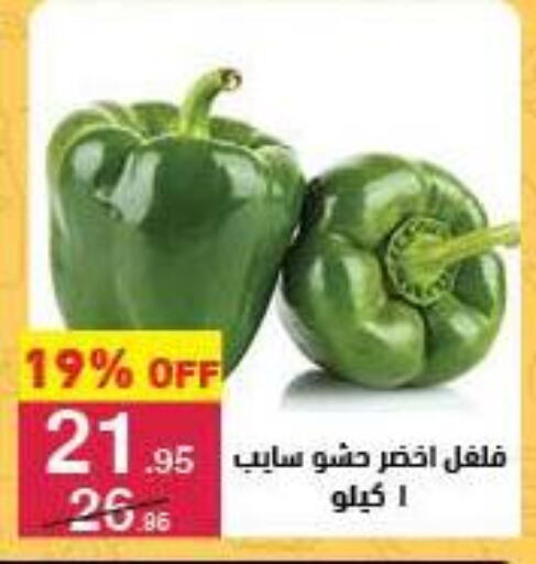 الخضروات الطازجة in محمود الفار, Egypt Offers - Egypt فلفل / فليفلة available at محمود الفار in Egypt - القاهرة