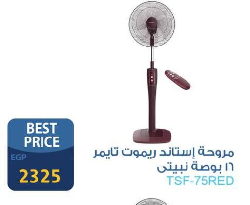 Small Appliances in Fathalla Market , Egypt Offers - Egypt Fan available at Fathalla Market in Egypt - Cairo