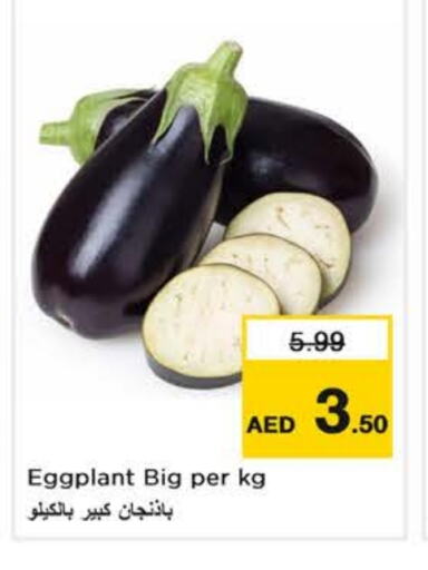 Eggplant available at Nesto Hypermarket in UAE - Dubai