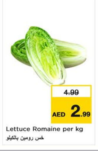 الخضروات الطازجة in نستو هايبرماركت, UAE Offers - الإمارات العربية المتحدة Lettuce available at نستو هايبرماركت in الإمارات العربية المتحدة , الامارات - الشارقة / عجمان
