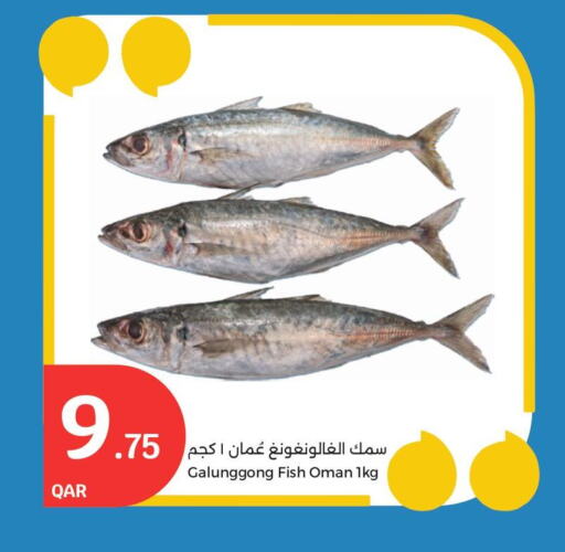 available at City Hypermarket in Qatar - Doha