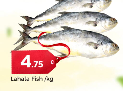 available at Paris Hypermarket in Qatar - Doha