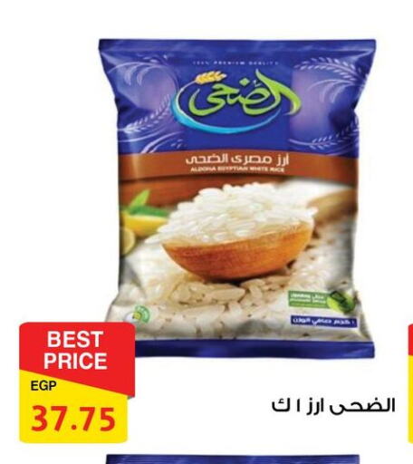 Rice in Fathalla Market , Egypt Offers - Egypt Calrose Rice available at Fathalla Market in Egypt - Cairo