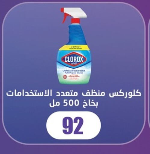 كلوركس منظف عام available at فتح الله in Egypt - القاهرة