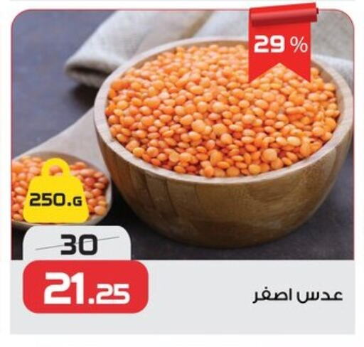 Pulses, Beans & Grains in Zahran Market, Egypt Offers - Egypt available at Zahran Market in Egypt - Cairo