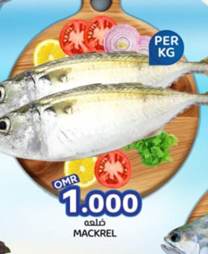 Fresh Fish in KM Trading , Oman Offers - Oman available at KM Trading in Oman - Sohar