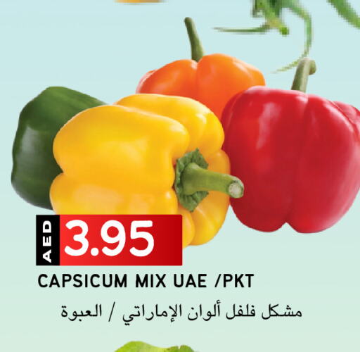 Chilli / Capsicum available at Select Market in UAE - Abu Dhabi