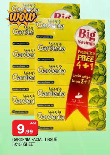 available at المدينة in الإمارات العربية المتحدة , الامارات - الشارقة / عجمان