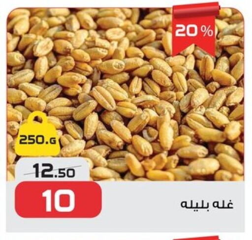 Pulses, Beans & Grains in Zahran Market, Egypt Offers - Egypt available at Zahran Market in Egypt - Cairo