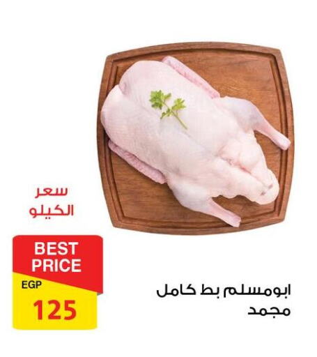 Chicken in Fathalla Market , Egypt Offers - Egypt available at Fathalla Market in Egypt - Cairo