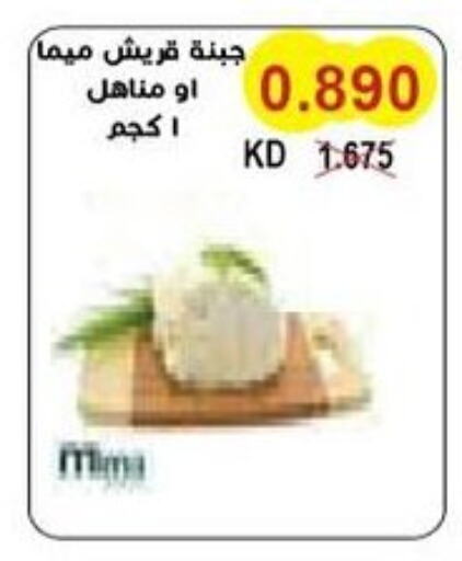 Cheese & Cream in Salwa Co-Operative Society , Kuwait Offers - Kuwait available at Salwa Co-Operative Society in Kuwait - Ahmadi Governorate