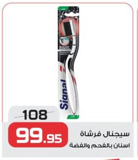 سيجنال فرشاة أسنان available at زهران ماركت in Egypt - القاهرة