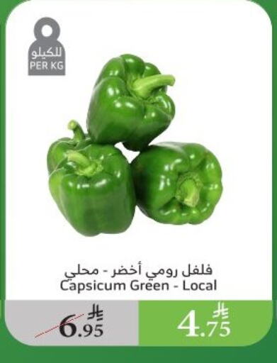 Fresh Vegetables in Al Raya, Saudi Arabia Offers - Saudi Arabia Chilli / Capsicum available at Al Raya in KSA, Saudi Arabia, Saudi - Al Qunfudhah
