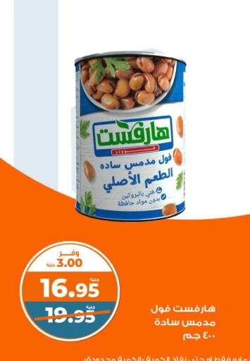 Canned & Packeted in Kazyon , Egypt Offers - Egypt available at Kazyon in Egypt - Cairo