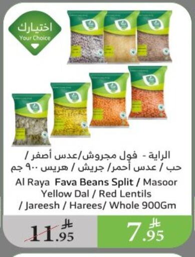 Pulses, Beans & Grains in Al Raya, Saudi Arabia Offers - Saudi Arabia available at Al Raya in KSA, Saudi Arabia, Saudi - Najran