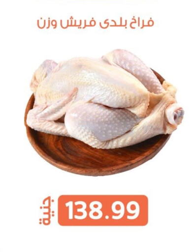 available at Ghallab Market in Egypt - Cairo