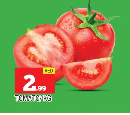 طماطم available at المدينة in الإمارات العربية المتحدة , الامارات - الشارقة / عجمان