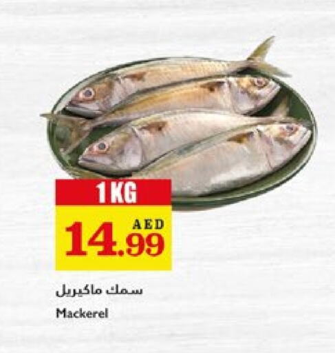 الأسماك الطازجة in تروليز سوبرماركت, UAE Offers - الإمارات العربية المتحدة available at تروليز سوبرماركت in الإمارات العربية المتحدة , الامارات - الشارقة / عجمان