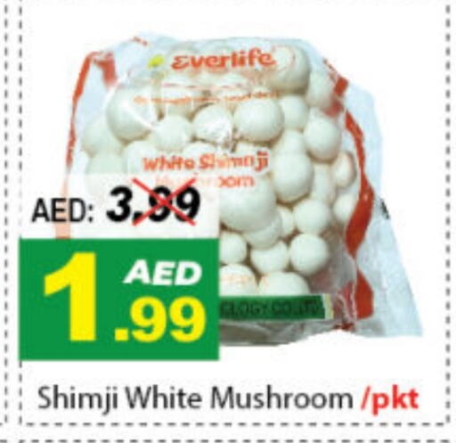 Mushroom available at DESERT FRESH MARKET  in UAE - Abu Dhabi