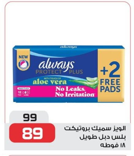 ألويز available at زهران ماركت in Egypt - القاهرة