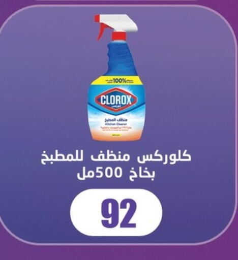 Cleaning in Fathalla Market , Egypt Offers - Egypt CLOROX General Cleaner available at Fathalla Market in Egypt - Cairo