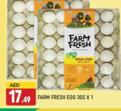 available at AL MADINA (Dubai) in UAE - Dubai