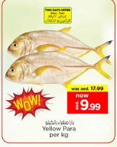 الأسماك الطازجة in نستو هايبرماركت, UAE Offers - الإمارات العربية المتحدة available at نستو هايبرماركت in الإمارات العربية المتحدة , الامارات - الشارقة / عجمان