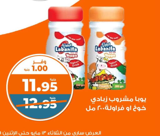 Yoghurt available at Kazyon  in Egypt - Cairo