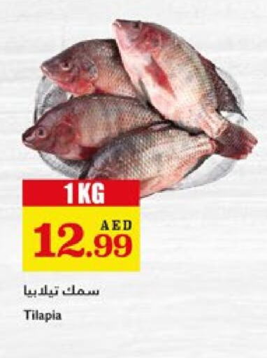الأسماك الطازجة in تروليز سوبرماركت, UAE Offers - الإمارات العربية المتحدة available at تروليز سوبرماركت in الإمارات العربية المتحدة , الامارات - الشارقة / عجمان