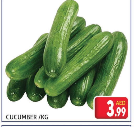 خيار available at مركز النخيل هايبرماركت in الإمارات العربية المتحدة , الامارات - الشارقة / عجمان