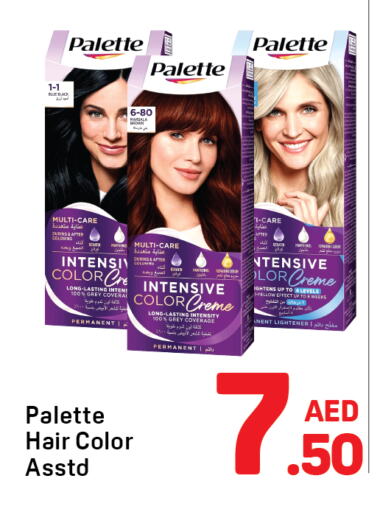 العناية بالشعر in دي تو دي, UAE Offers - الإمارات العربية المتحدة باليت صبغة شعر available at دي تو دي in الإمارات العربية المتحدة , الامارات - الشارقة / عجمان